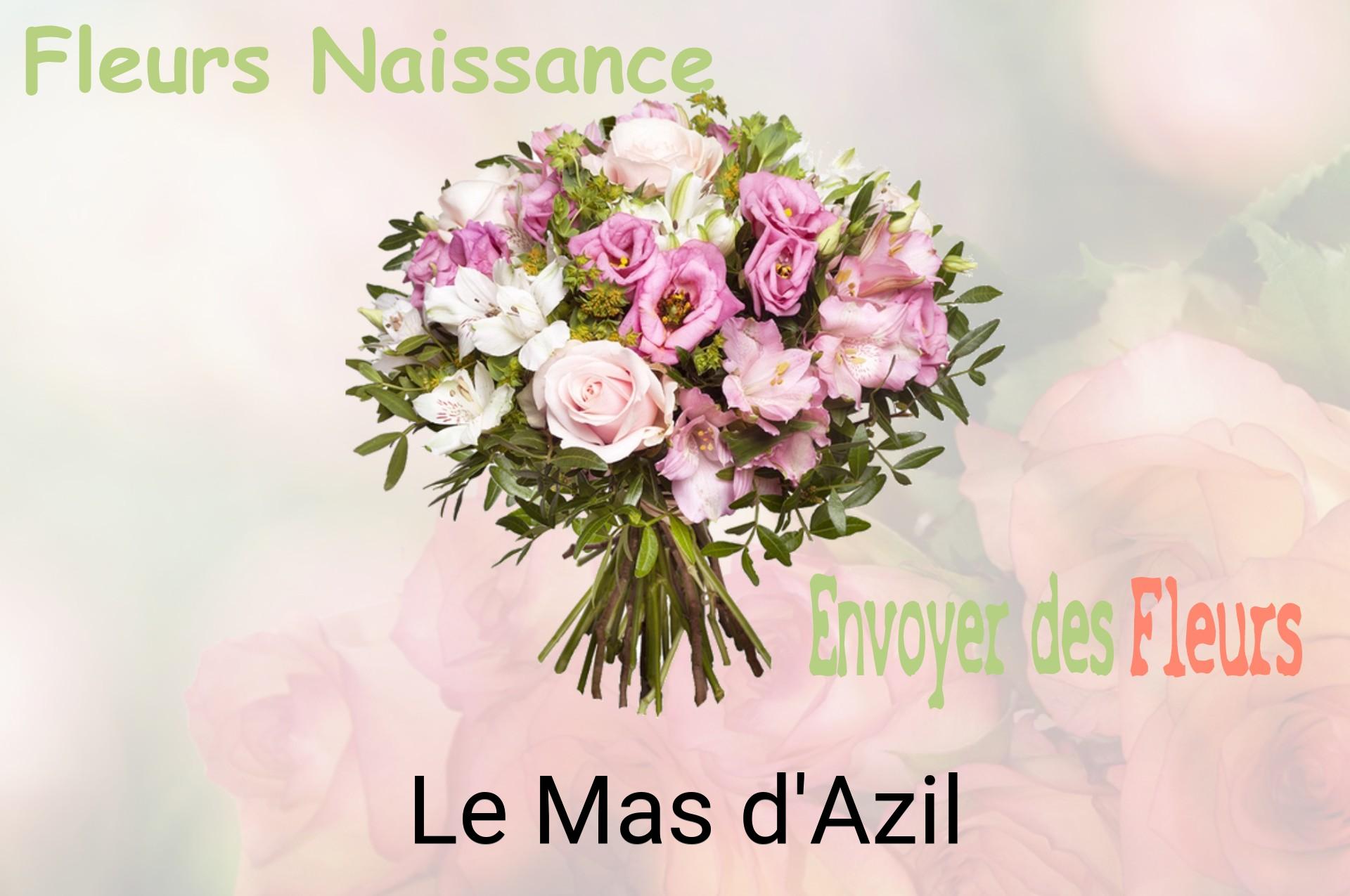 Bouquet de fleurs de naissance livré à Le Mas-d'Azil